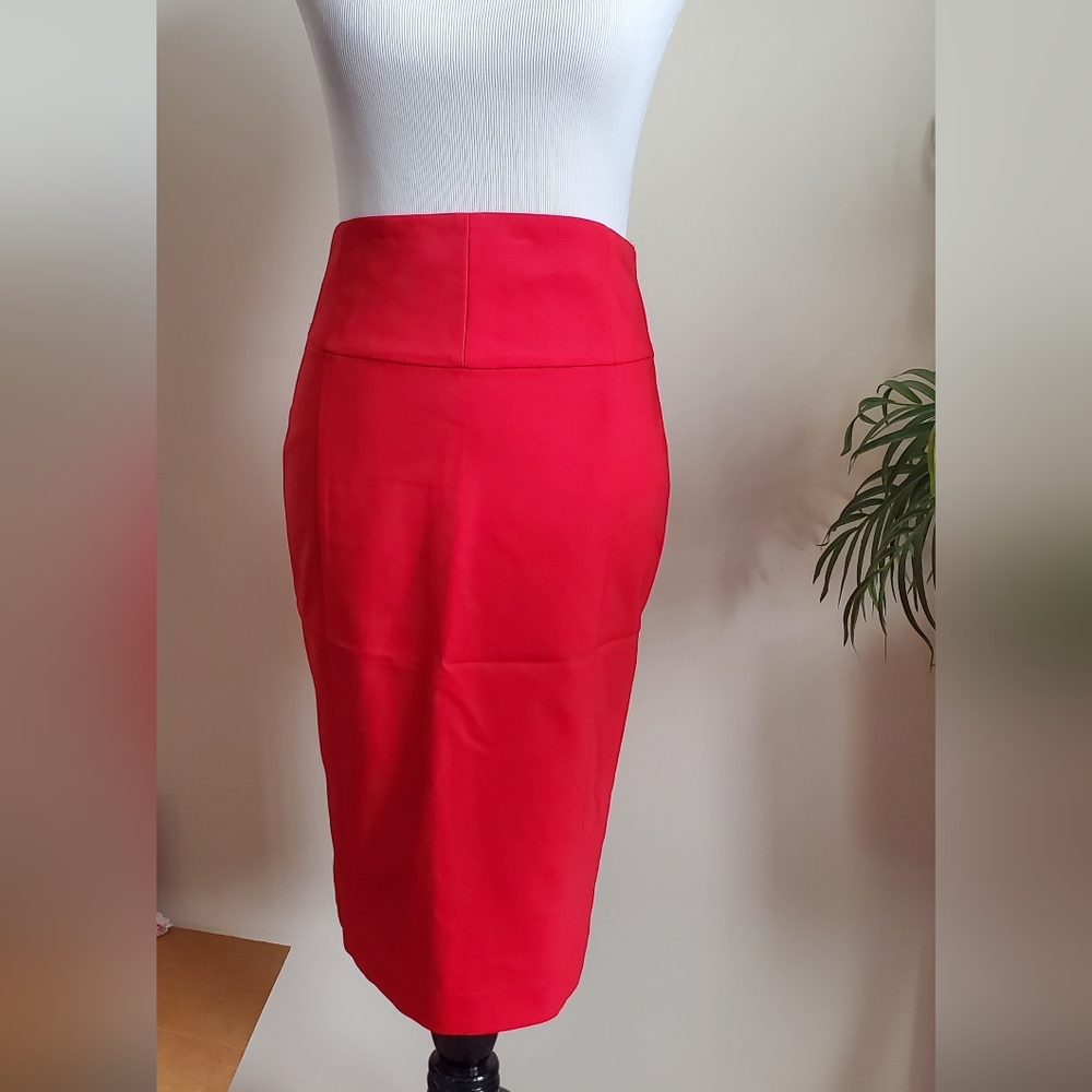 Express Size 2 High Waisted Skirt